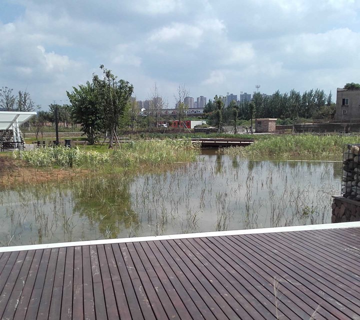 Asian Facility Project lake in park
