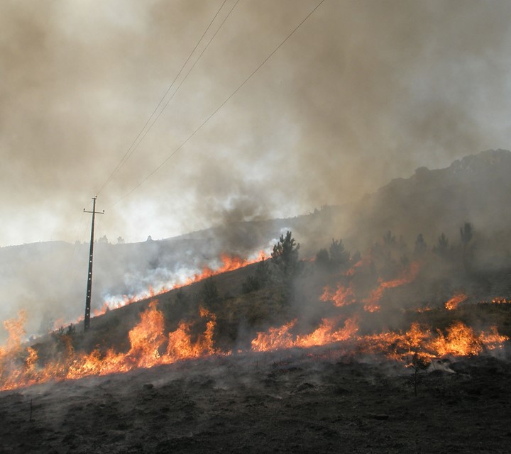 Effect of Fire on Soils forrest fire